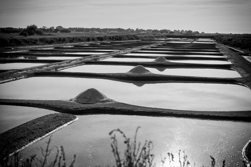 noirmoutier