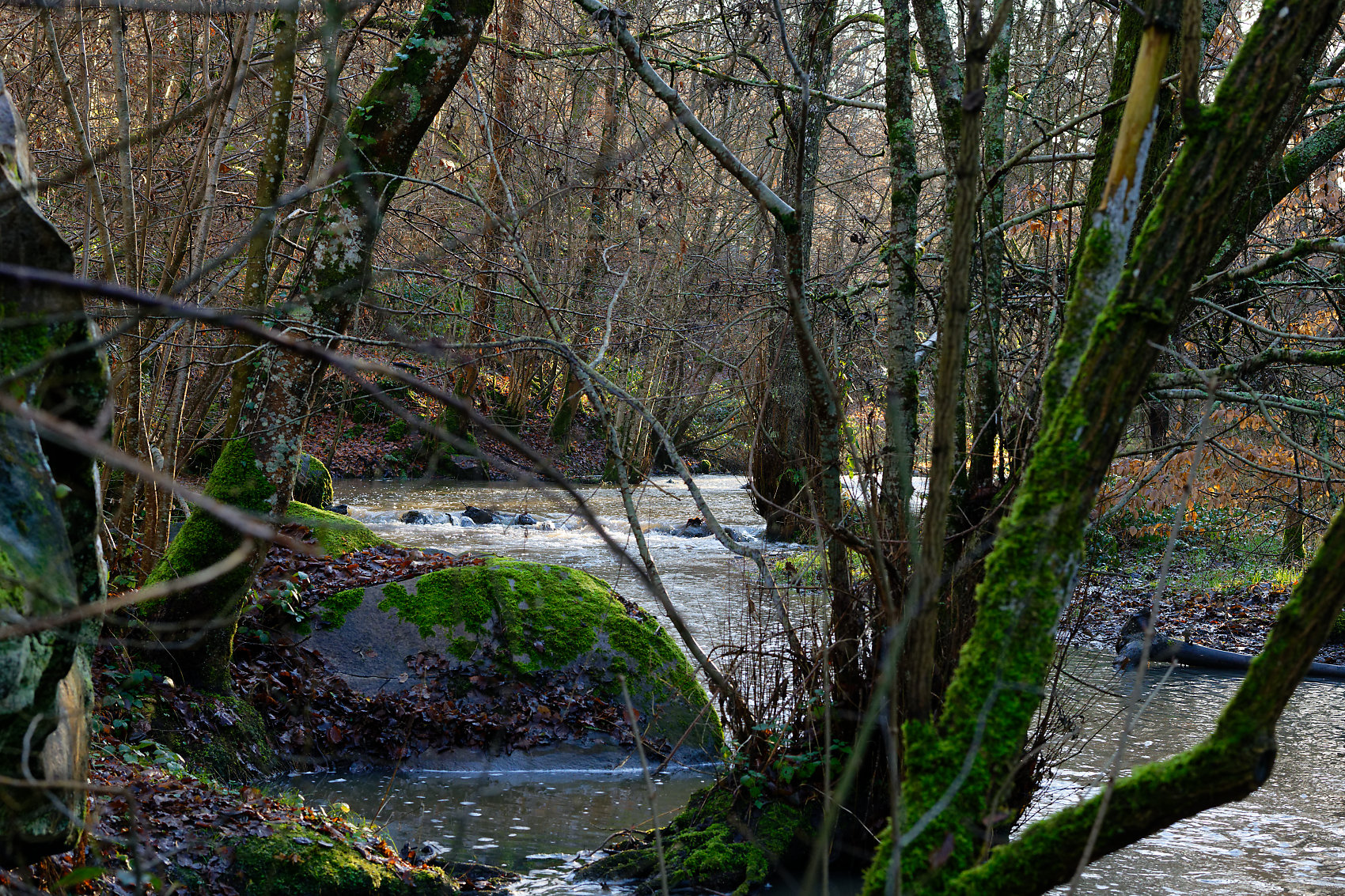 Quelque part en vallée de Chevreuse